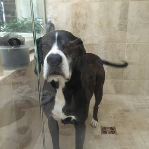 Meet your Posher, Mike